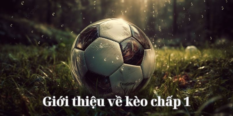 Giới thiệu về kèo chấp 1